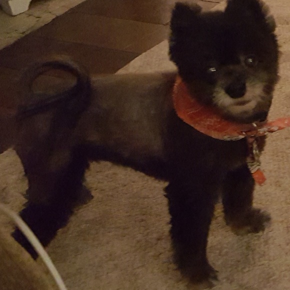 I am live, come hang out!!! - Picture 2 of 7